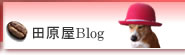 Xblog