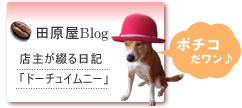 XBlog